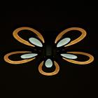 Люстра с ПДУ 59125/5BK LED 90+90Вт 3 режима диммер черный 65х65х14 см - Фото 6