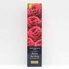 Роза Дама Де Кер Чайно-гибридная, высота 100 см, 1 шт - Фото 1