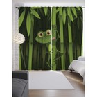 Фотошторы «Голодная лягушка на бамбуке», сатен, размер 145х265 см, 2 шт - Фото 1