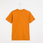 Футболка мужская однотонная, цвет кирпичный, размер 52 - фото 35183224