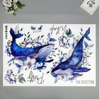 Наклейка пластик интерьерная цветная "Синие кашалоты в цветах" 60х90 см - фото 804481437