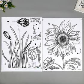Наклейка интерьерная чёрная «Подсолнух и тюльпаны», набор 2 листа, 45×60 см
