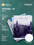 Тетрадь 48 листов в клетку, Calligrata «Города», серые листы, МИКС - Фото 9