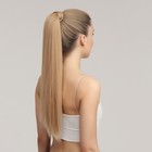 Хвост накладной, прямой волос, на резинке, 60 см, 100 гр, цвет блонд (#SHT24) - фото 9355688