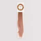 Хвост накладной, прямой волос, на резинке, 60 см, 100 гр, цвет омбре русый/пепельно-розовый - Фото 10