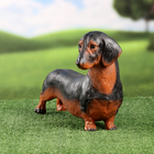 Садовая фигура "Такса" 35х20х25см - фото 24475034