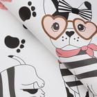 Бумага глянцевая "Мопс", 1 х 0,7 м (комплект 10 шт) - фото 40394581