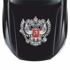 Наклейка на авто "Герб России", вид №2, серебро, 100*100 мм - Фото 2