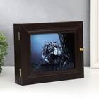 Ключница "Тигр чёрно-белый" 19х24 см МИКС - фото 28466736