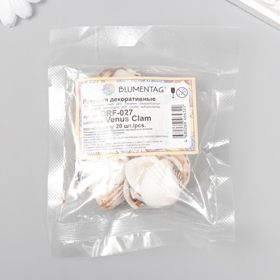 Декоративные ракушки "Venus Clam" 20 шт