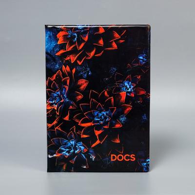 Папка для семейных документов Docs, 8 файлов А4