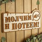 Табличка для бани 41.5×21 см "Молчим и потеем!" 6634179 - фото 1630090