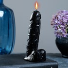 Фигурная свеча "Фаворит" черная 12см - фото 9237617