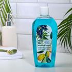 Пена для ванн «Хвойные ванны», можжевельник и кумкват, 1 л - Фото 1