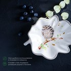 Блюдо сервировочное Доляна «Совушка», 21×15×4,5 см, цвет белый - Фото 4