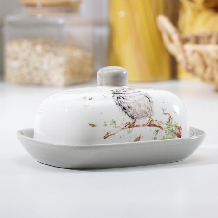 Маслёнка Доляна «Совушка», 17,2×12,4×8,5 см, цвет белый - Фото 1