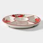 Менажница 5 ячеек Доляна «Гранат», d=26 см, доломит, белая, красная - Фото 3