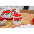 Сахарница-солонка Доляна «Гранат», 150 мл, d=7 см, доломит, белая, красная - Фото 10