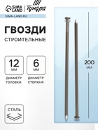 Гвозди ТУНДРА, строительные, ГОСТ 4028-63, без покрытия, 6×200 мм, 5 кг - Фото 1