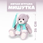 Мягкая игрушка «Мишутка», 26 см, цвета МИКС - фото 108923995