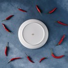 Тарелка фарфоровая пирожковая Magistro «Церера», d=18 см, цвет белый 5387993