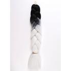 ZUMBA Канекалон двухцветный, гофрированный, 60 см, 100 гр, цвет чёрный/белый(#BY30) - фото 9239056