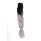 ZUMBA Канекалон двухцветный, гофрированный, 60 см, 100 гр, цвет чёрный/пепельный(#BY33) - фото 6410433