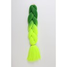 ZUMBA Канекалон двухцветный, гофрированный, 60 см, 100 гр, цвет ярко-зелёный/лимонный(#BY40) - фото 295157014