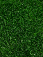 Газон искусственный, для спорта, ворс 40 мм, 2×10 м, зелёный, Greengo - Фото 7