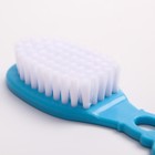 Расчёска детская, щётка для волос в наборе, «Мишка», голубой - Фото 9