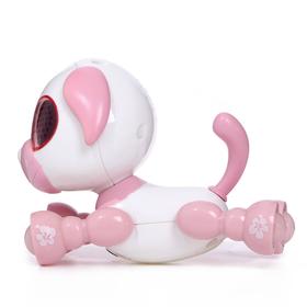 

Робот-игрушка интерактивный «Умный дружок», звук, свет, цвет розовый, уценка (порвана упаковка)