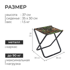 Стул складной Nika, 35×30×37 см, принт с дубовыми листьями - Фото 3