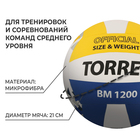 Мяч волейбольный TORRES BM1200, микрофибра, клееный, 18 панелей, р. 5 - Фото 2