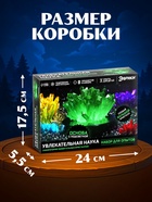 Опыты с реагентами набор «Ночник с кристаллом» - Фото 3