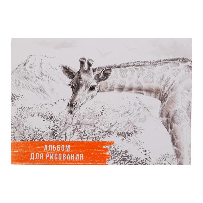 Альбом для рисования А4, 40 листов на склейке "Жираф", обложка мелованный картон, блок 100 г/м² - Фото 1
