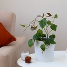 Шпалера, 30 ? 19 ? 0.5 см, пластик, цвет МИКС, «Гармония», Greengo (комплект 10 шт) - фото 24468079