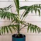 Шпалера, 47 ? 25 ? 0.5 см, пластик, цвет МИКС, «Гармония», Greengo (комплект 8 шт) - фото 25393894