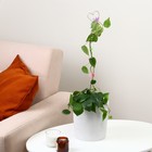 Поддержка для орхидей, h = 55 см, пластик, цвет МИКС, «Сердце» - Фото 2