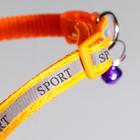 Ошейник "Спорт" со светоотражающей полосой, 31 х 1 см, оранжевый - Фото 3