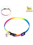 Ошейник «Радуга», 30×1 см, капрон - Фото 2