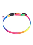 Ошейник «Радуга», 30×1 см, капрон - Фото 3