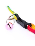 Ошейник «Радуга», 30×1 см, капрон - Фото 4