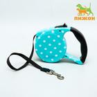 Рулетка с поводком-лентой, резиновая ручка, 5 м, вес животного до 15 кг, голубая в горошек - Фото 1