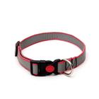 Ошейник капроновый, фастекс с замком, 50 х 2 см, ОШ до 50 см, серый с красн. полосой - фото 35634858