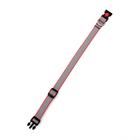 Ошейник капроновый, фастекс с замком, 50 х 2 см, ОШ до 50 см, серый с красн. полосой - фото 35634859