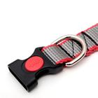 Ошейник капроновый, фастекс с замком, 50 х 2 см, ОШ до 50 см, серый с красн. полосой - фото 35634861