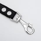 Поводок капроновый с латексной нитью, 2 м х 2,5 см, чёрный - фото 42730787