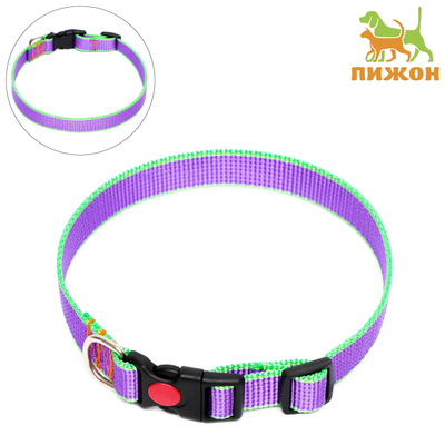 Ошейник капроновый, фастекс с замком, 50×2 см, ОШ до 50 см, фиолетовый с зелёным