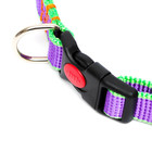 Ошейник капроновый, фастекс с замком, 50×2 см, ОШ до 50 см, фиолетовый с зелёным - фото 21254308