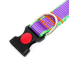 Ошейник капроновый, фастекс с замком, 50×2 см, ОШ до 50 см, фиолетовый с зелёным - фото 21254310